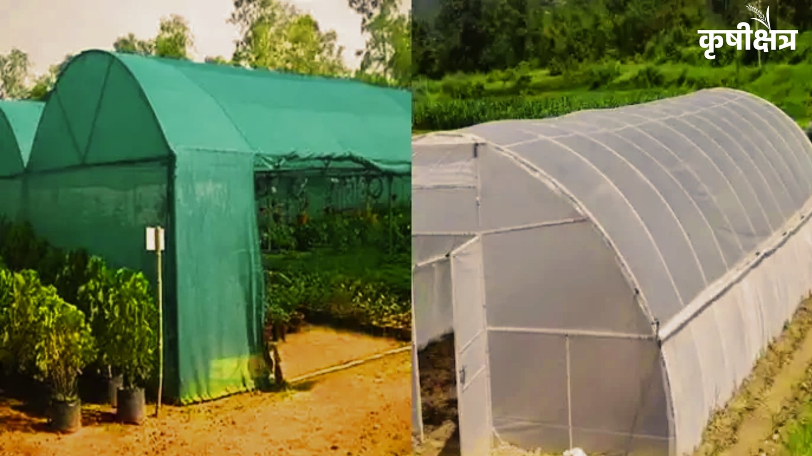 शेडनेट हाऊस अनुदान योजना: शेतकऱ्यांसाठी आधुनिक शेतीची मोठी संधी