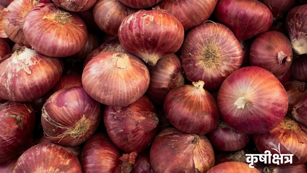आजचे कांदा बाजारभाव 2026 – महाराष्ट्रातील ताजे दर