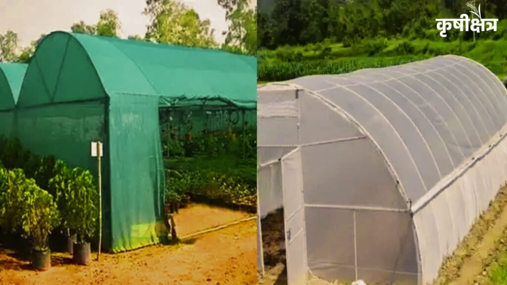 शेडनेट हाऊस अनुदान योजना: शेतकऱ्यांसाठी आधुनिक शेतीची मोठी संधी